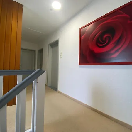 公寓 Ferienwohnung-ebersberg 埃贝斯堡